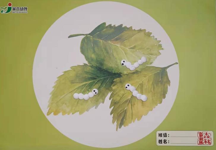 ����Ρ��ϱ�����