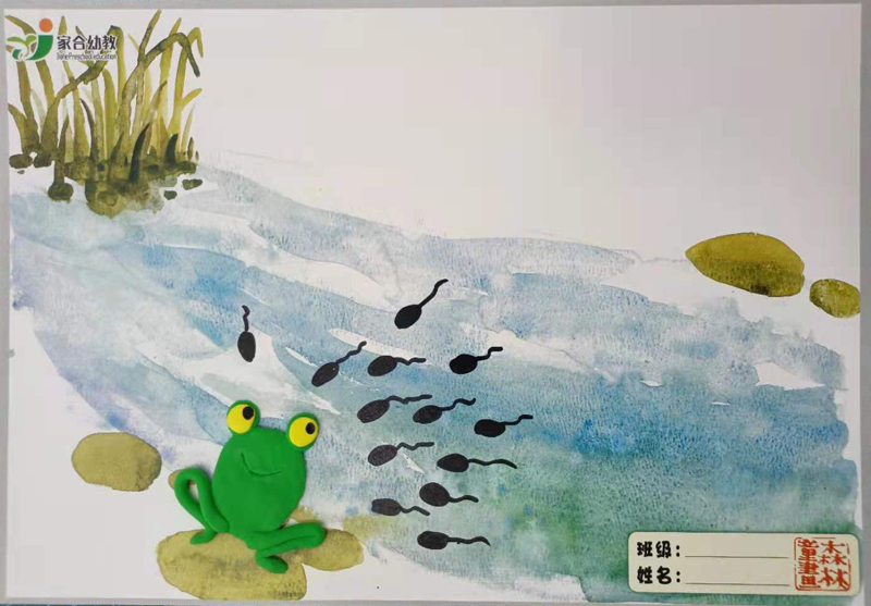 ��ʮ����---С���������--���� 